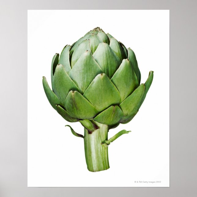 Globe Artichoke on White Background Cut Out Poster (Front)