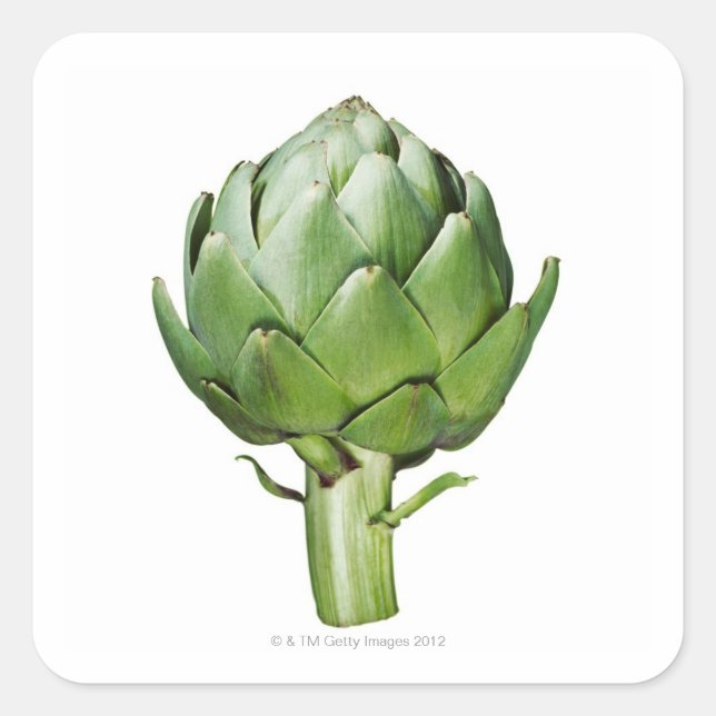 Globe Artichoke on White Background Cut Out Square Sticker (Front)