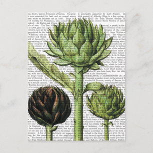 Globe Artichoke Print 2 Postcard