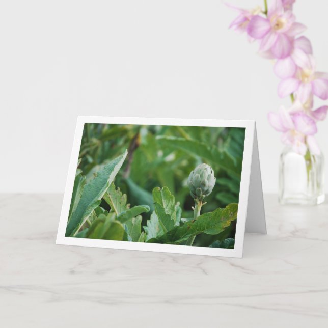 Globe Artichoke Thistle Plant Card (Orchid)
