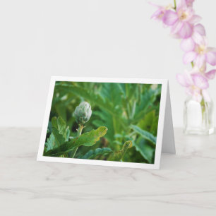Globe Artichoke Thistle Plant Card