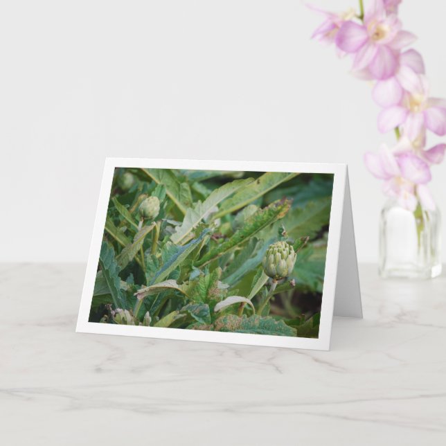 Globe Artichoke Thistle Plants Card (Orchid)