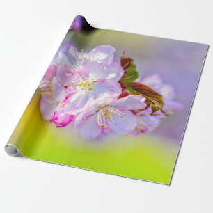 Globular Cluster Of Awesome Pink Sakura Flowers Wrapping Paper