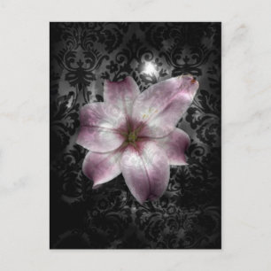 Glorious Mystery Postcard