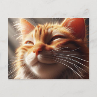 Glorious Orange Cat! Postcard