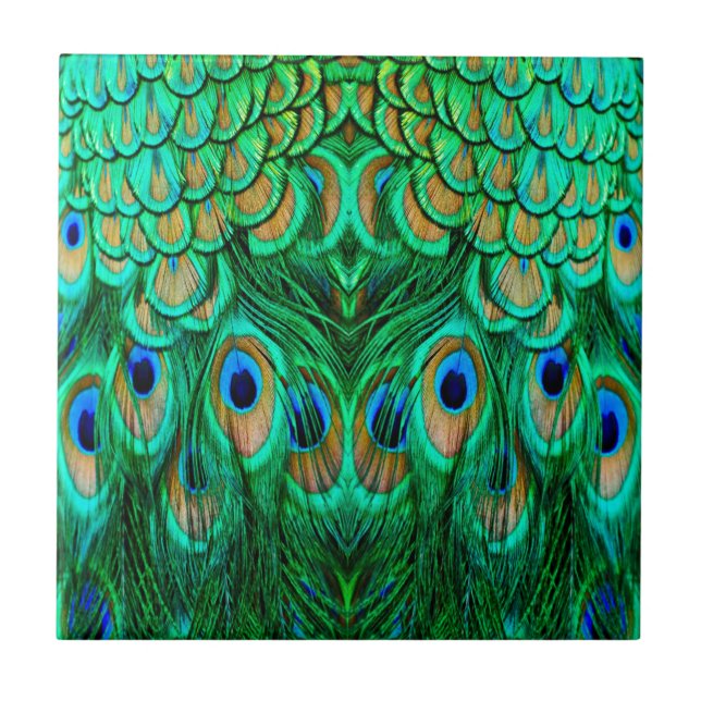 Glorious Peacock Feathers Ceramic Tile (Front)