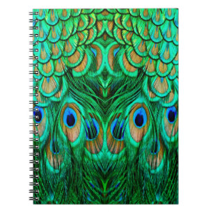 Glorious Peacock Feathers Notebook