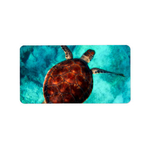 Glorious Sea Turtle Label