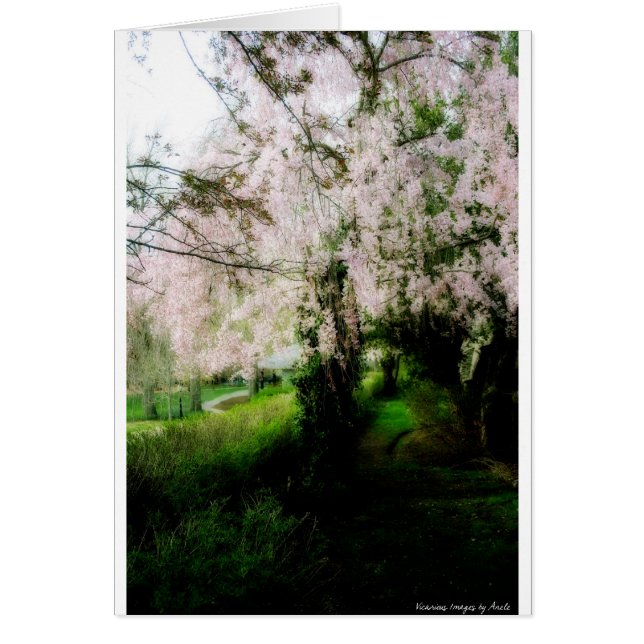 Glorious Spring Card (Front)