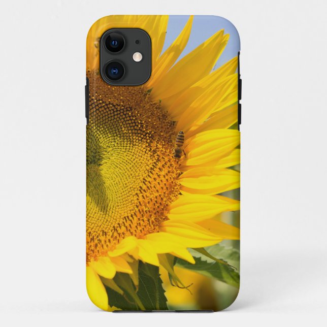 Glorious sunflowers! Case-Mate iPhone case (Back)