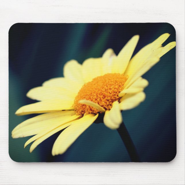 Glorious Yellow Daisy Flower  Mouse Pad (Front)