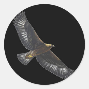 Glorius Golden Eagle Soaring Classic Round Sticker
