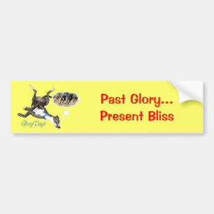 Glory Days Bumper Sticker