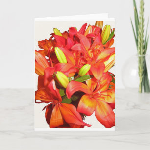 Glory Glory Holiday Card