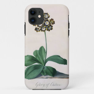 Glory of Chilton (gouache on vellum) iPhone 11 Case