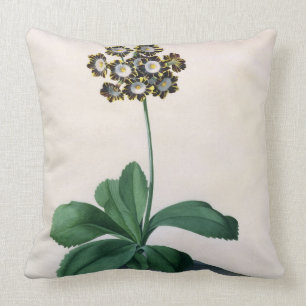 Glory of Chilton (gouache on vellum) Cushion