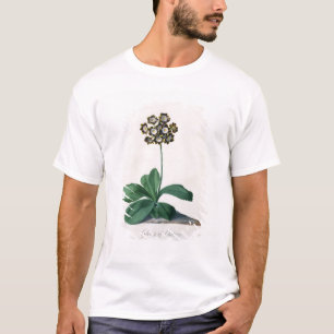 Glory of Chilton (gouache on vellum) T-Shirt