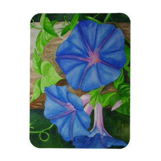 Glory of the Morning Magnet