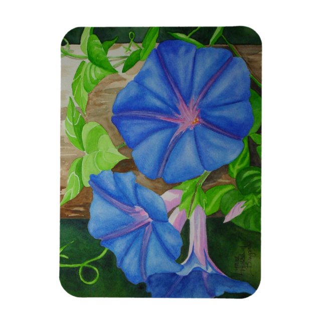 Glory of the Morning Magnet (Vertical)