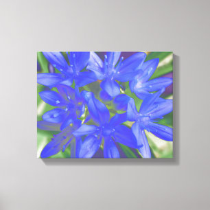 Glory of the Snow Fluorescent Blue Canvas Print