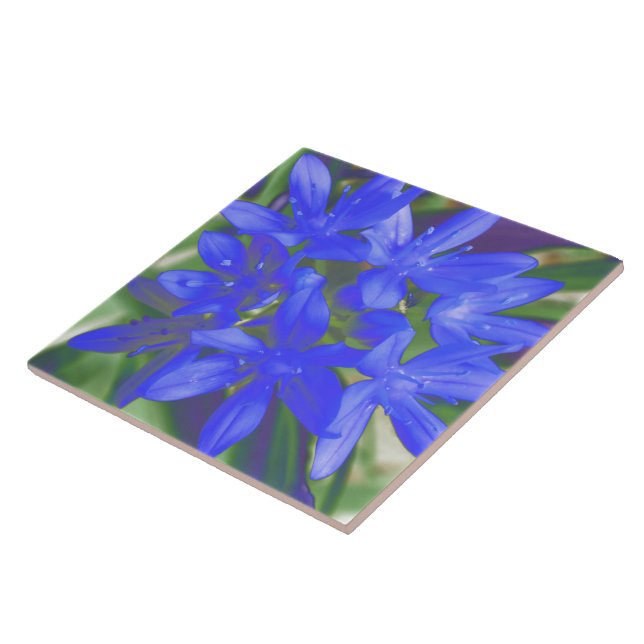 Glory of the Snow Fluorescent Blue Tile (Side)