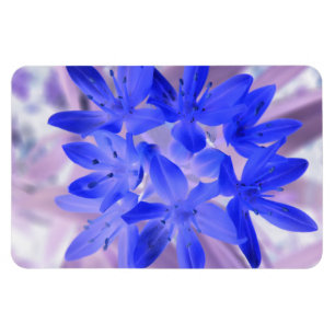 Glory of the Snow Shocking Blue Premium Magnet