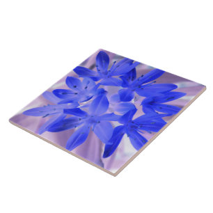 Glory of the Snow Shocking Blue Tile