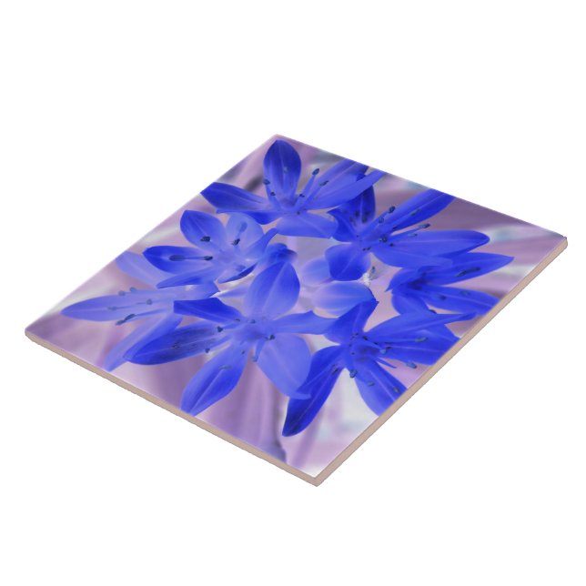 Glory of the Snow Shocking Blue Tile (Side)