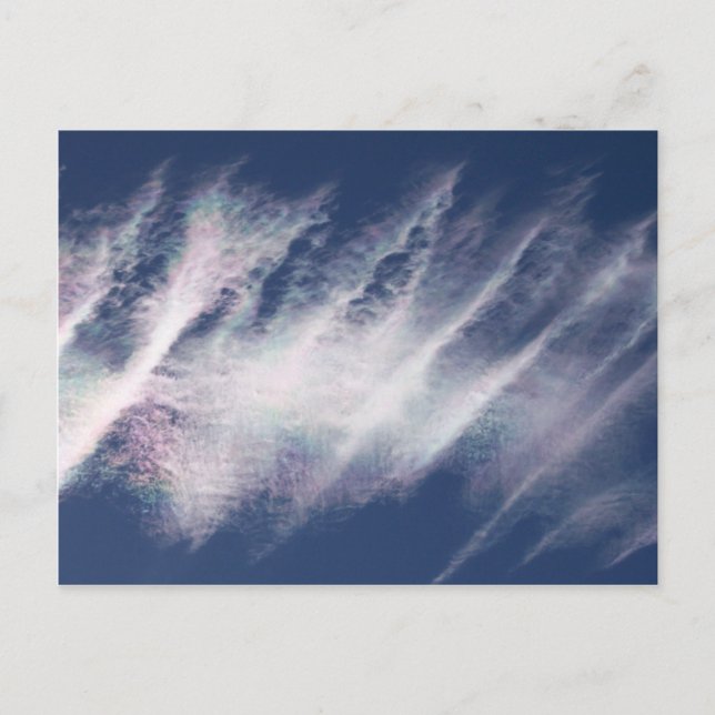 Glory Postcard (Front)