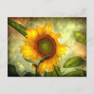 Glory Postcard