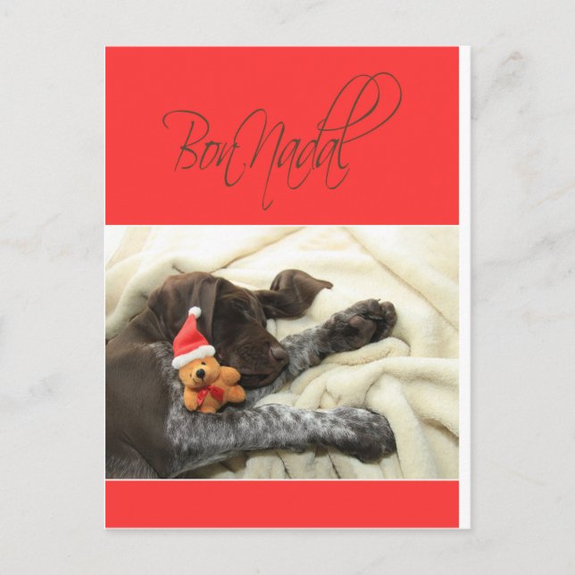 Glossy Grizzly Christmas Bon Nadal Holiday Postcard (Front)