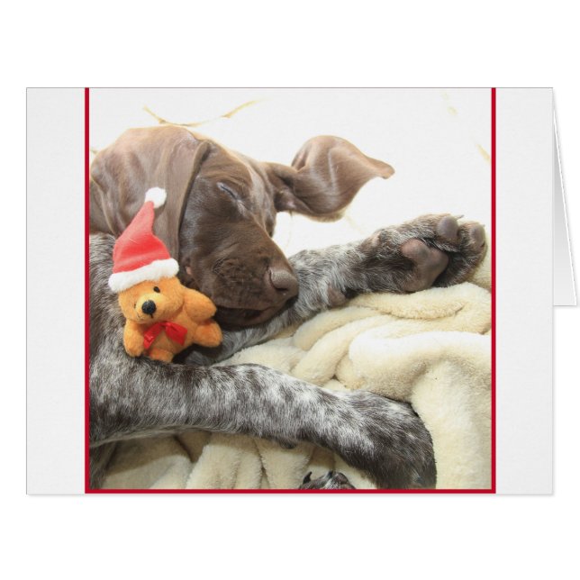 Glossy Grizzly Christmas Pointer (Front Horizontal)