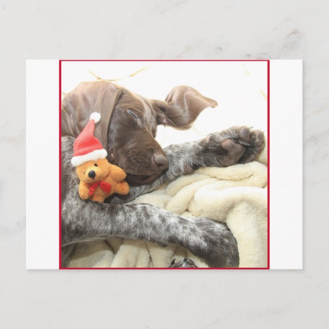 Glossy Grizzly Christmas Pointer Holiday Postcard (Front)