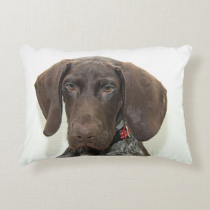 Glossy Grizzly Decorative Cushion