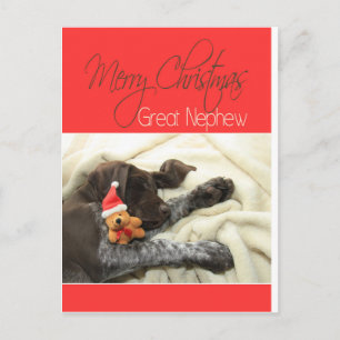 Glossy Grizzly Great Nephew Merry Christmas Holiday Postcard