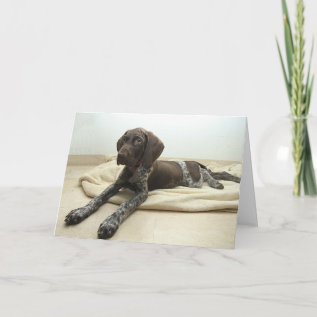 Glossy Grizzly Greeting Card (Front)