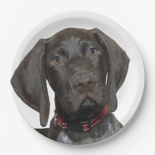 Glossy Grizzly Paper Plate