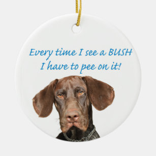 Glossy Grizzly pee on a BUSH Ceramic Tree Decoration