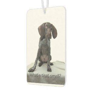 Glossy Grizzly what's that smell? Car Air Freshener