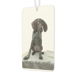 Glossy Grizzly what's that smell? Car Air Freshener