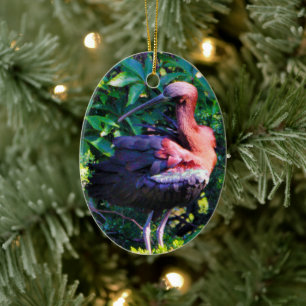 Glossy Ibis Ceramic Ornament