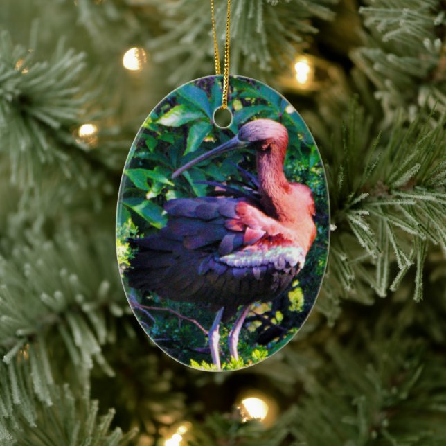 Glossy Ibis  Ceramic Ornament (Tree)