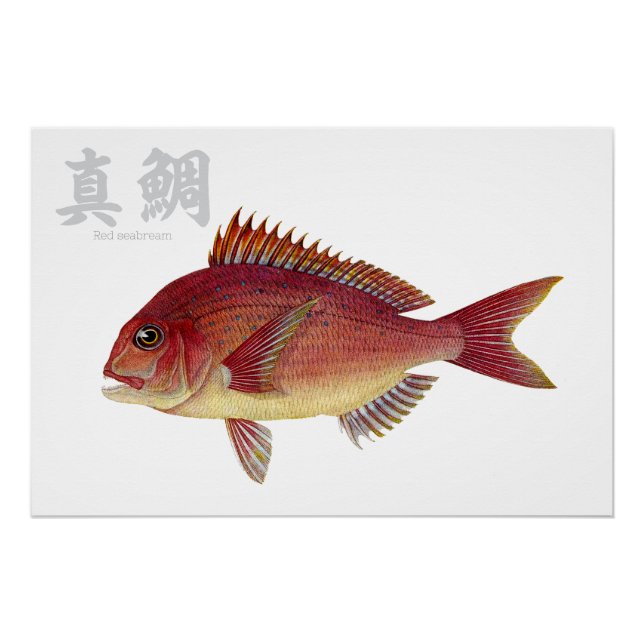 Glossy Poster (Front)