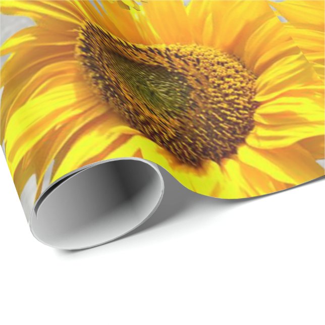 Glossy Wrapping Paper Cat Kitten (Roll Corner)