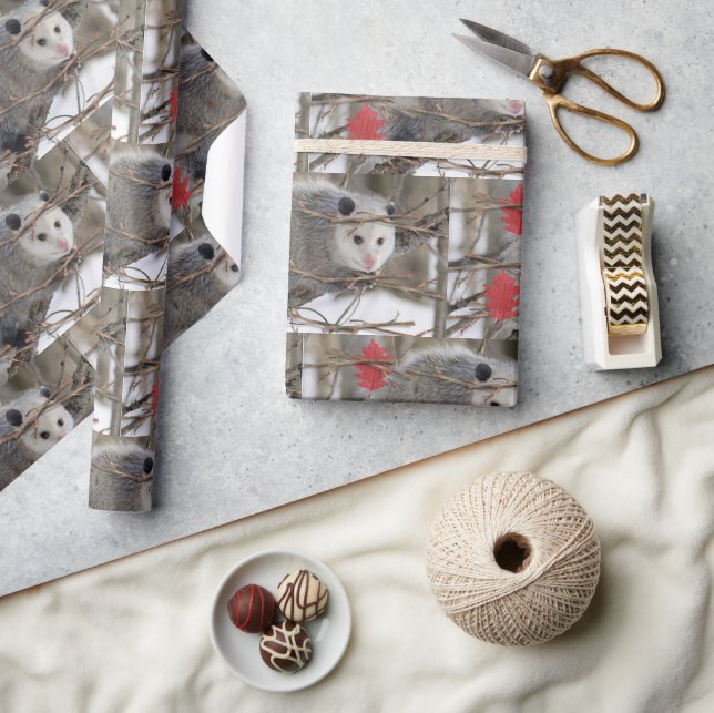 Glossy Wrapping Paper Opossum Nature (Crafts)
