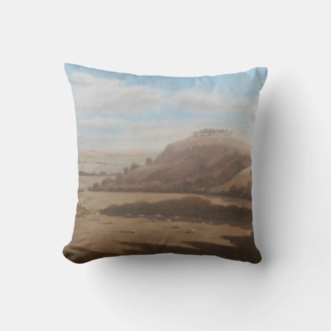 Gloucestershire landscape 2012 cushion (Front)