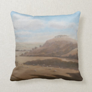 Gloucestershire landscape 2012 cushion