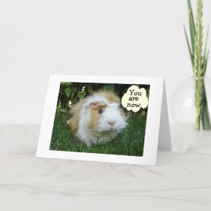 GLOUTING GERBIL IS NOW YOUNGER THAN FRIEND CARD
