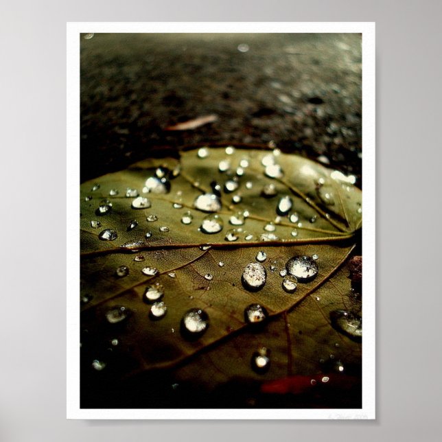 Glow Drop Poster (Front)