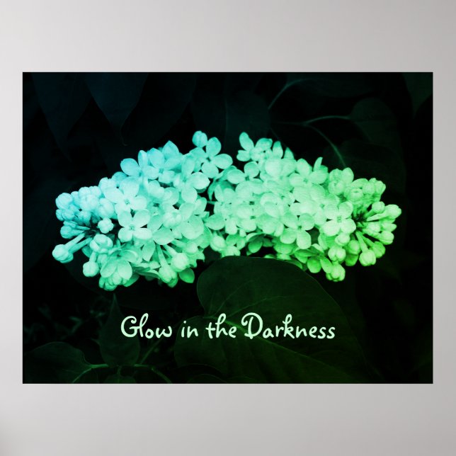 Glow in the Darkness Green Lilacs Photo Poster (Front)